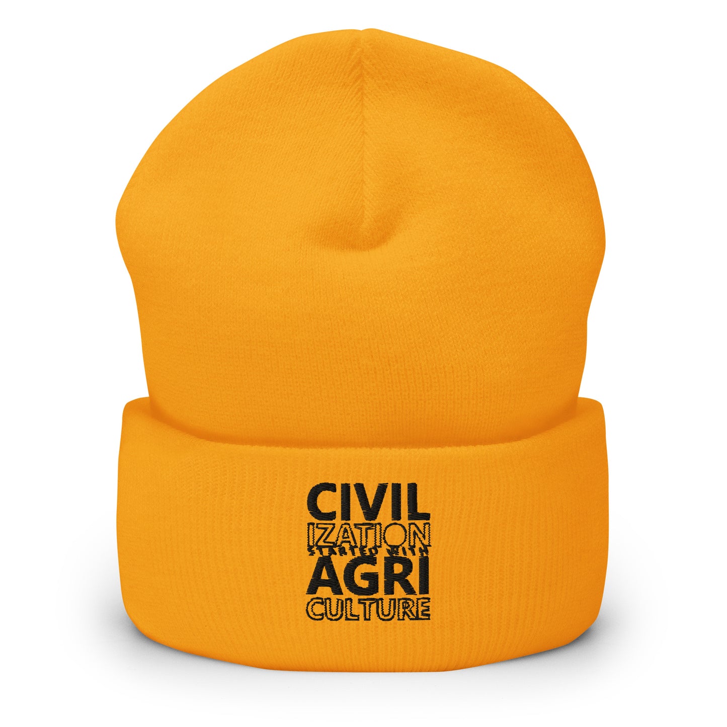 CIVILIZATION Cuffed Beanie