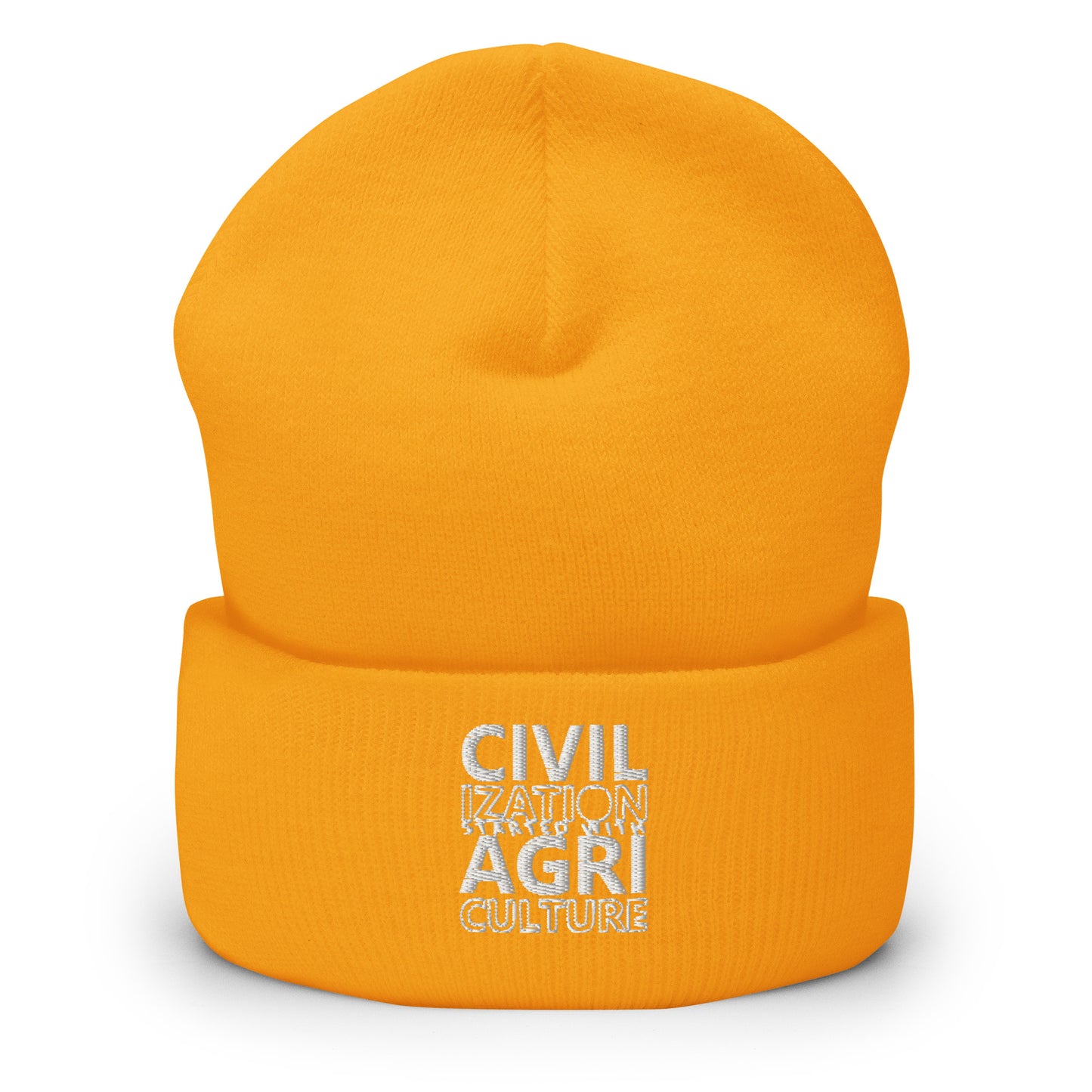 CIVILIZATION Cuffed Beanie