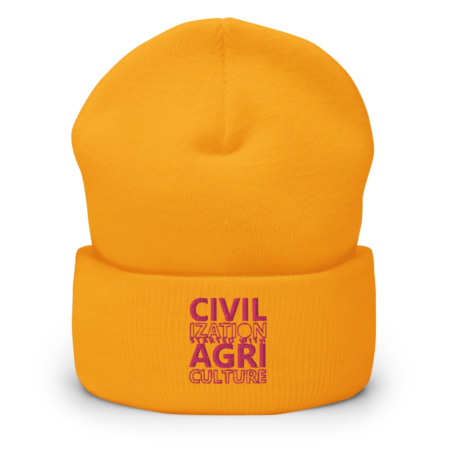 CIVILIZATION Cuffed Beanie