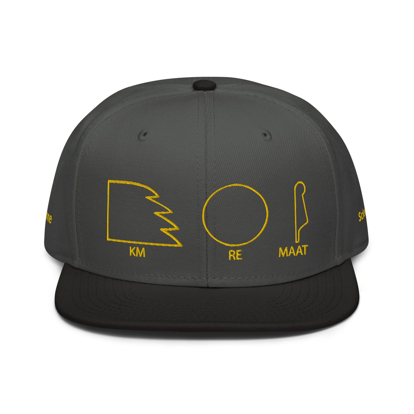 TAR Snapback Hat