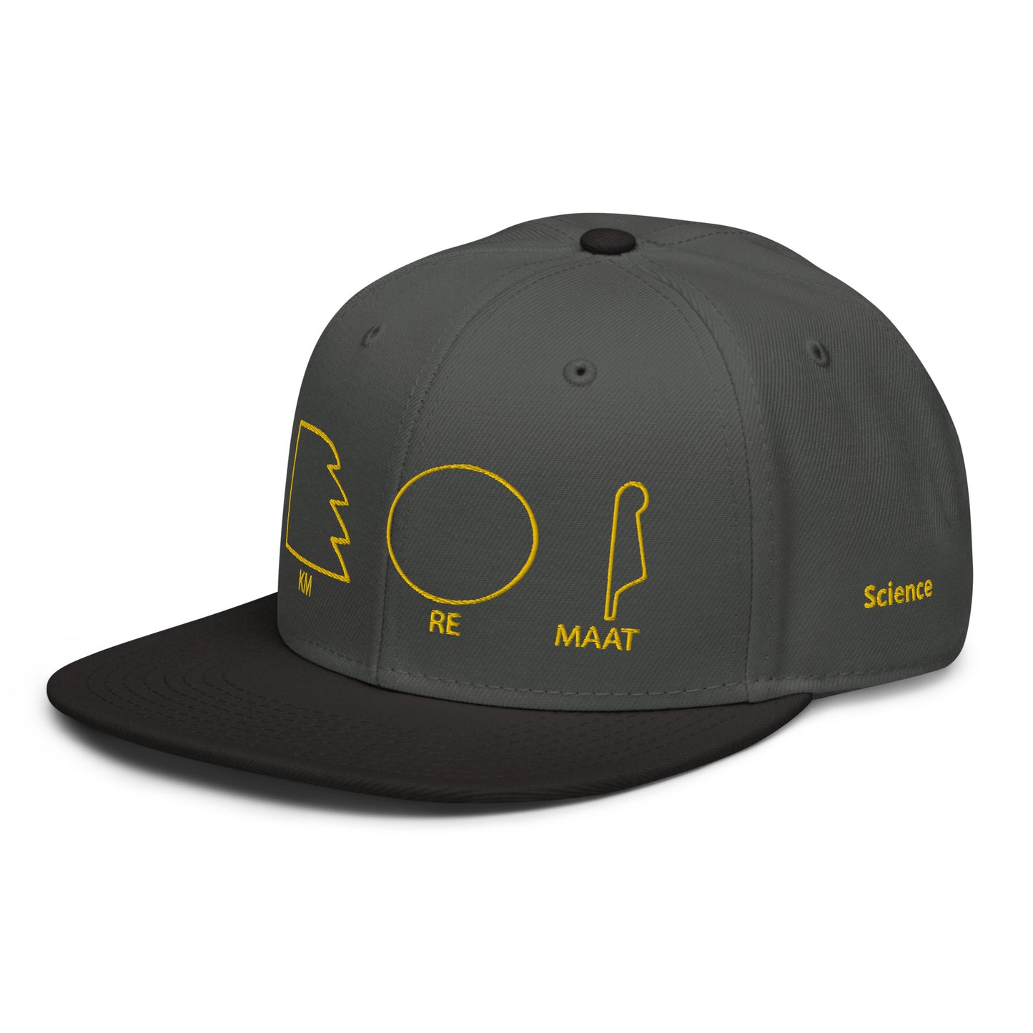 TAR Snapback Hat