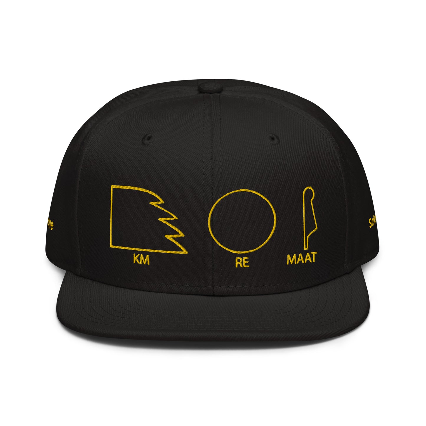 TAR Snapback Hat