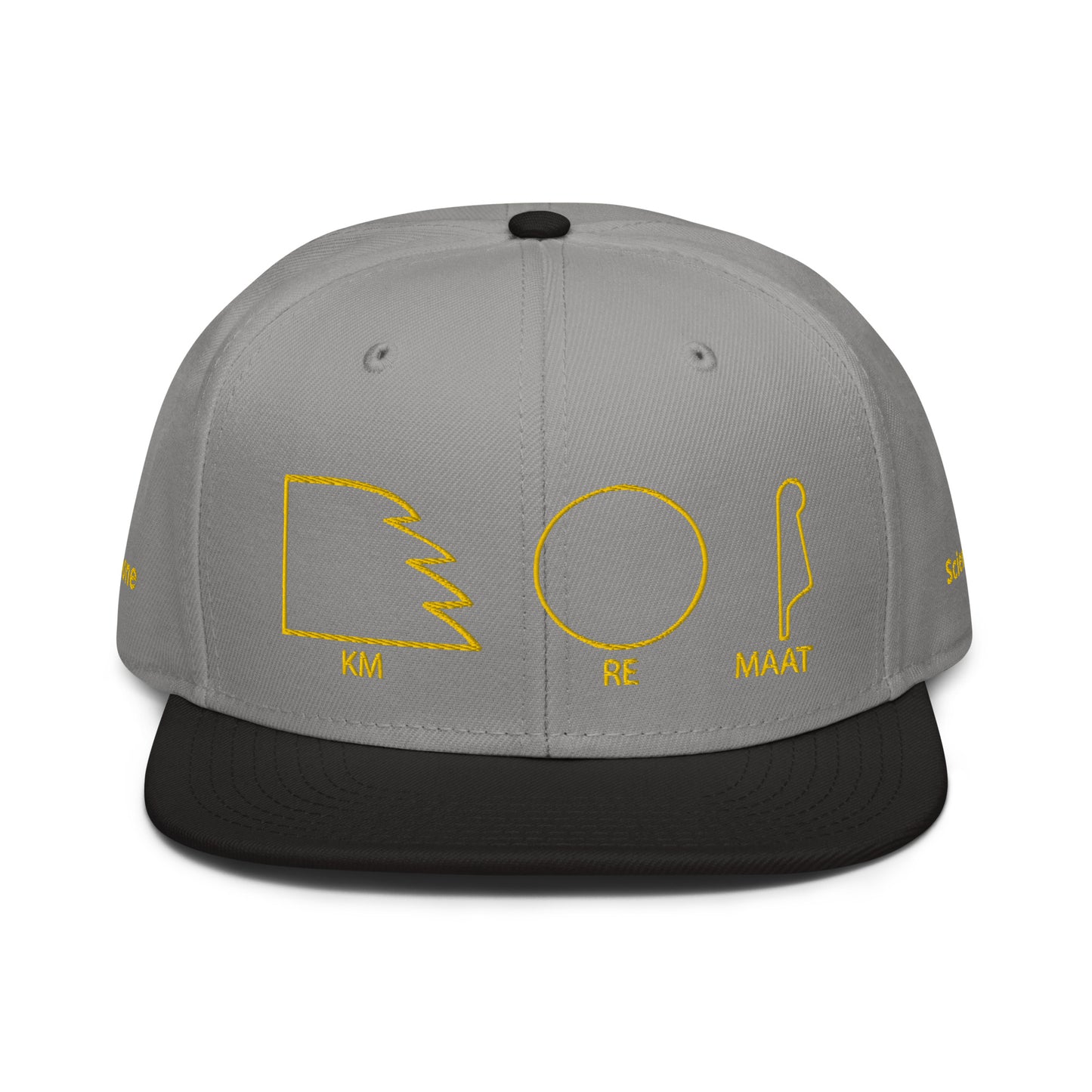 TAR Snapback Hat