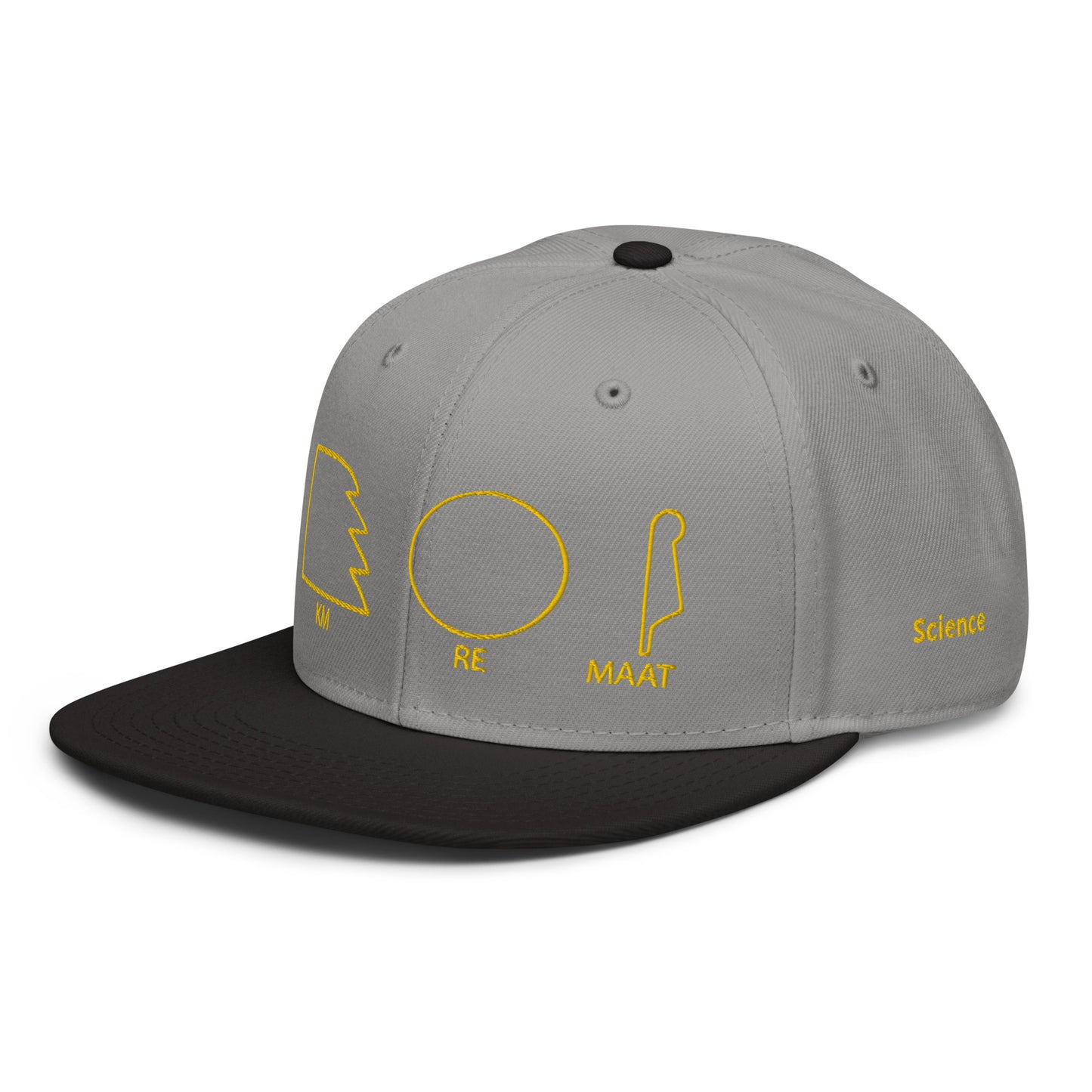 TAR Snapback Hat