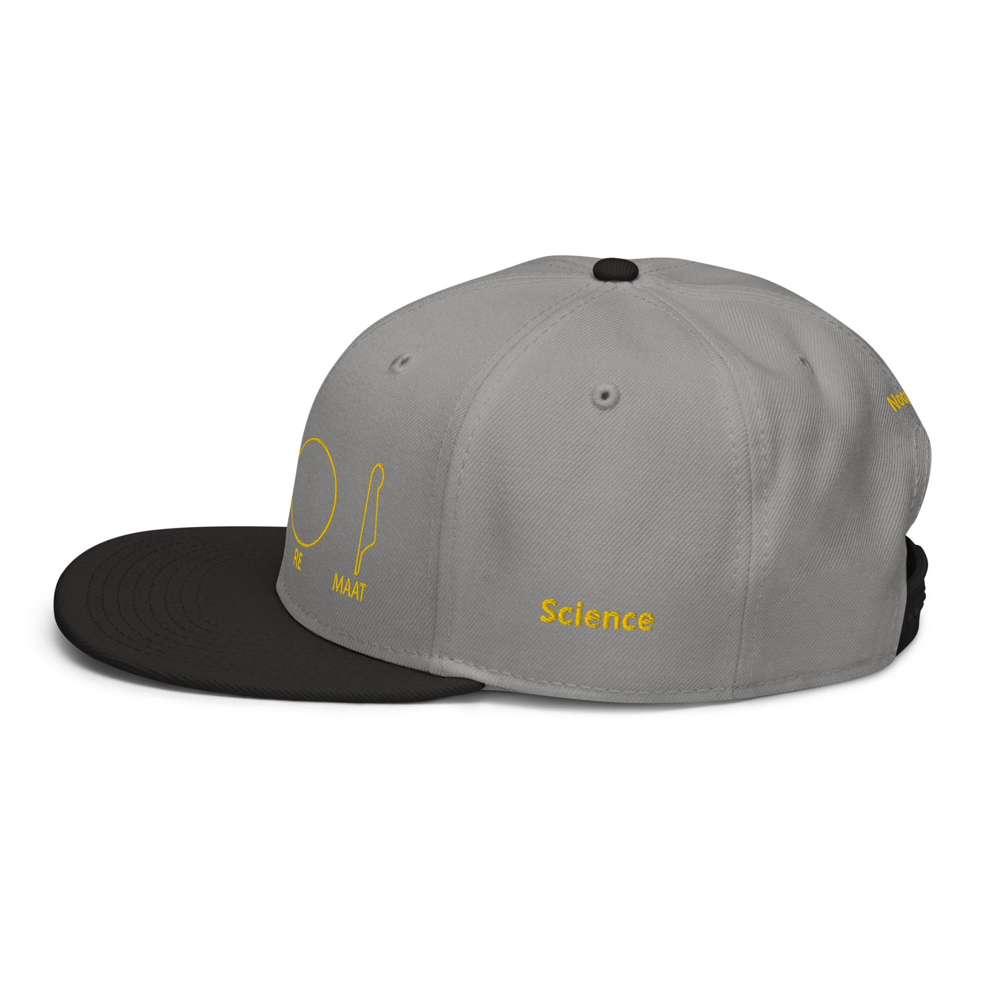 TAR Snapback Hat