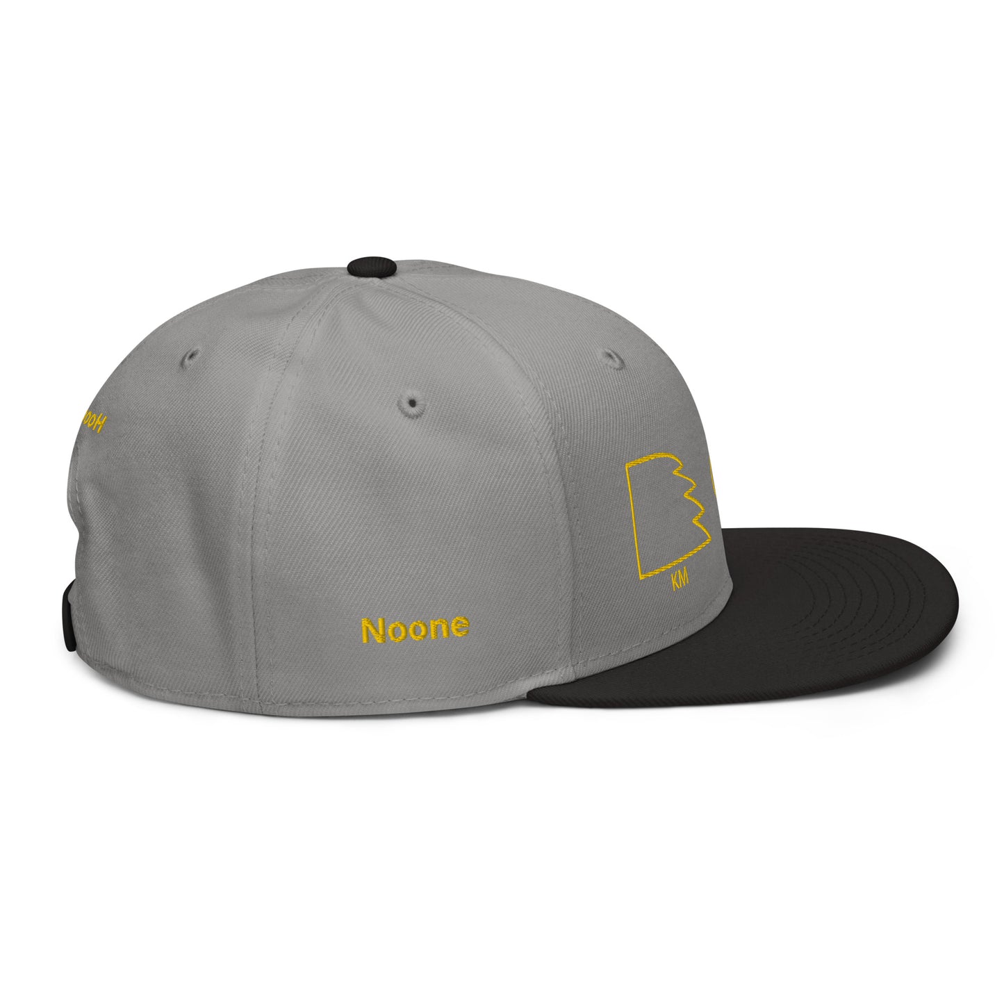 TAR Snapback Hat
