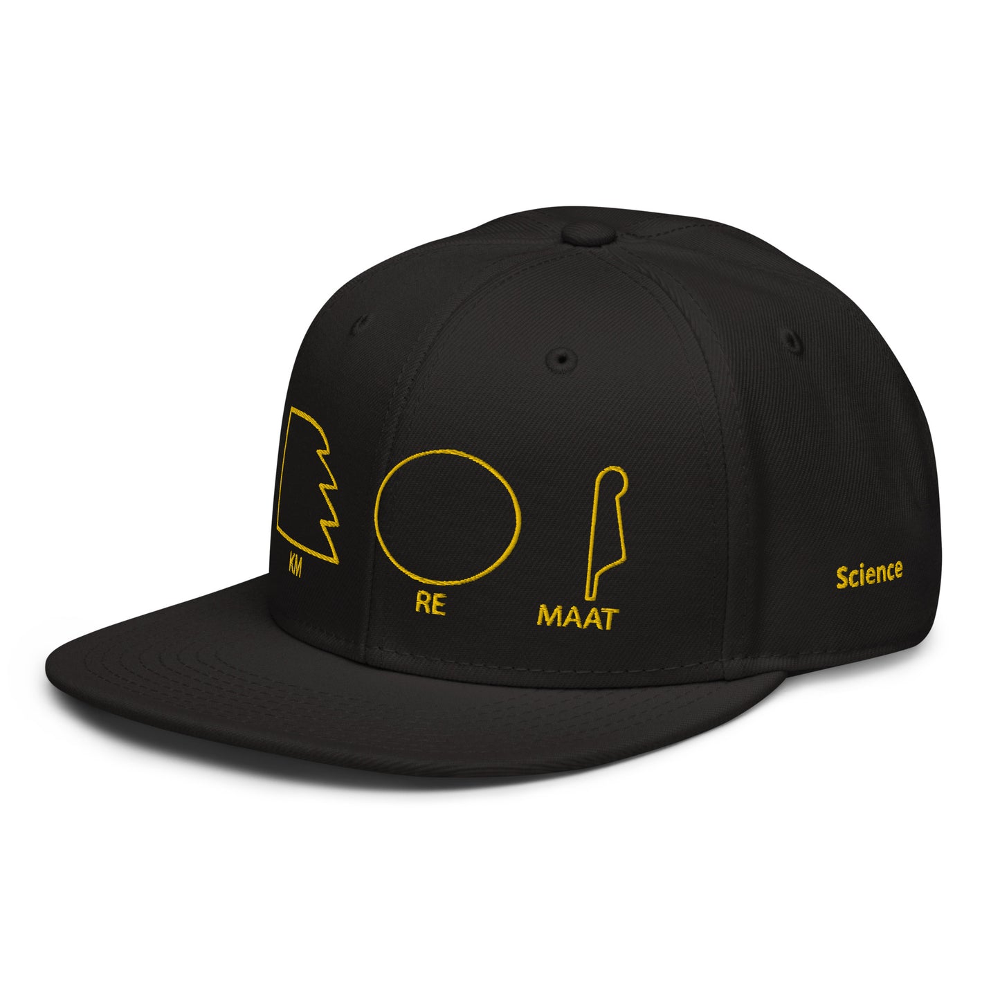 TAR Snapback Hat