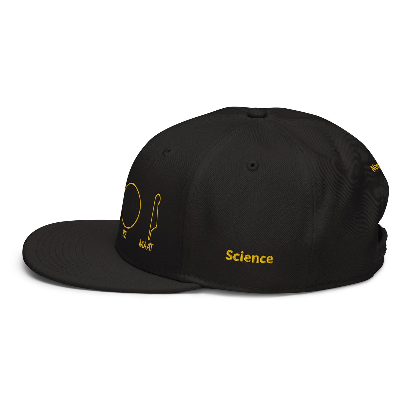 TAR Snapback Hat
