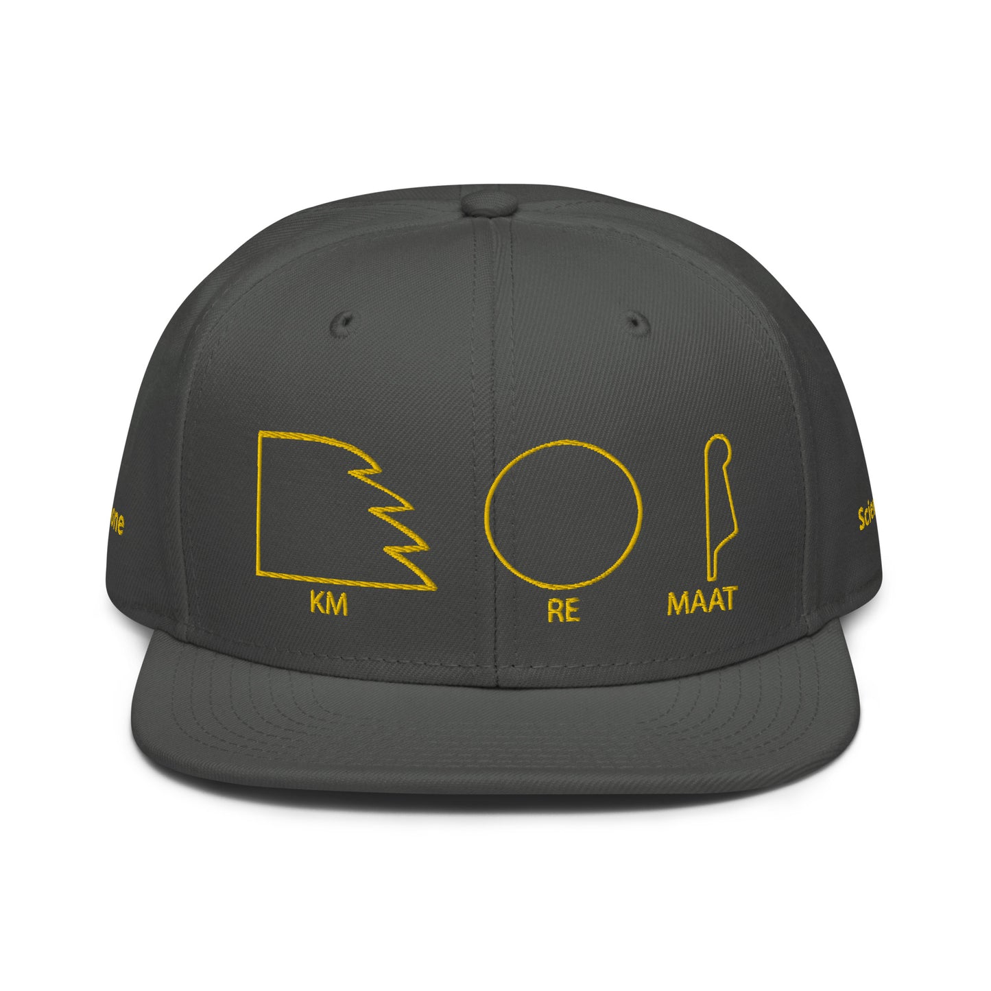 TAR Snapback Hat