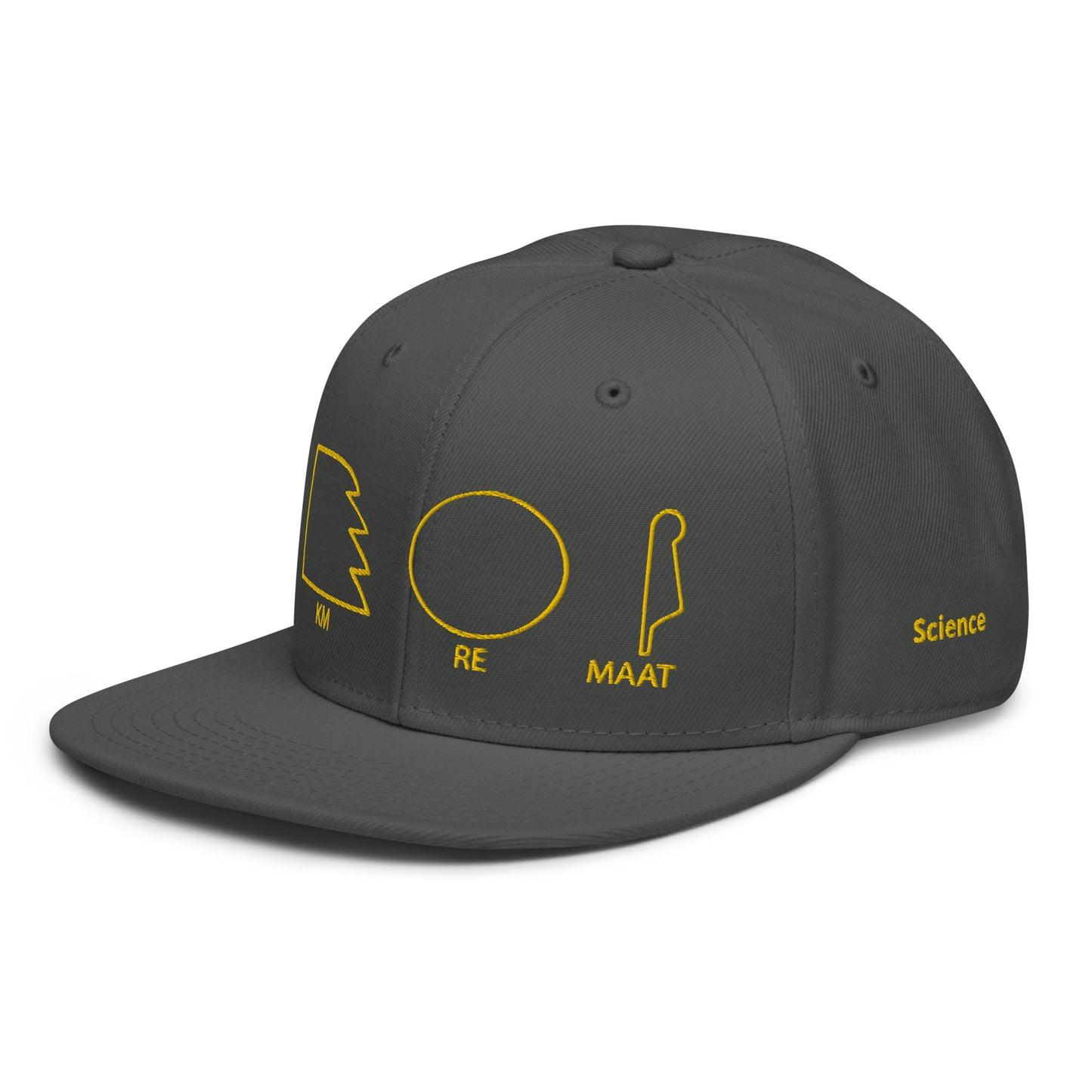 TAR Snapback Hat