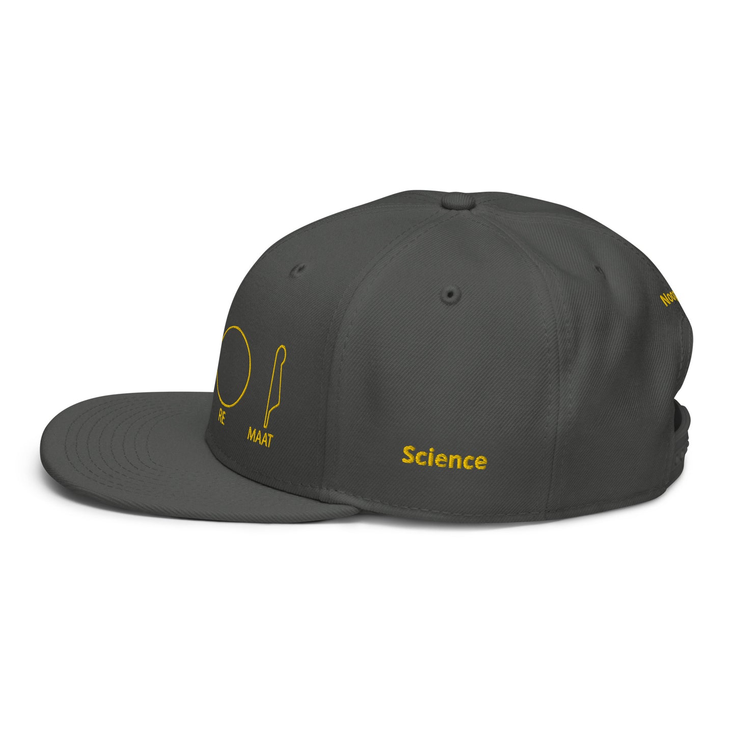 TAR Snapback Hat