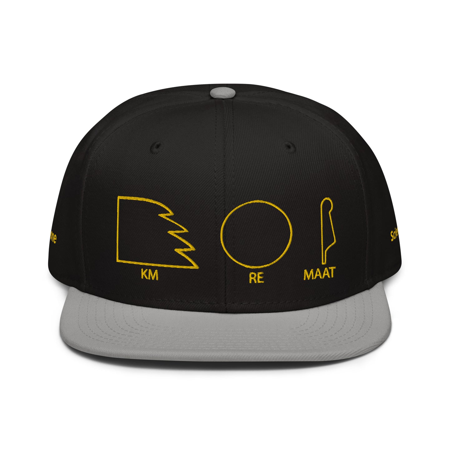TAR Snapback Hat