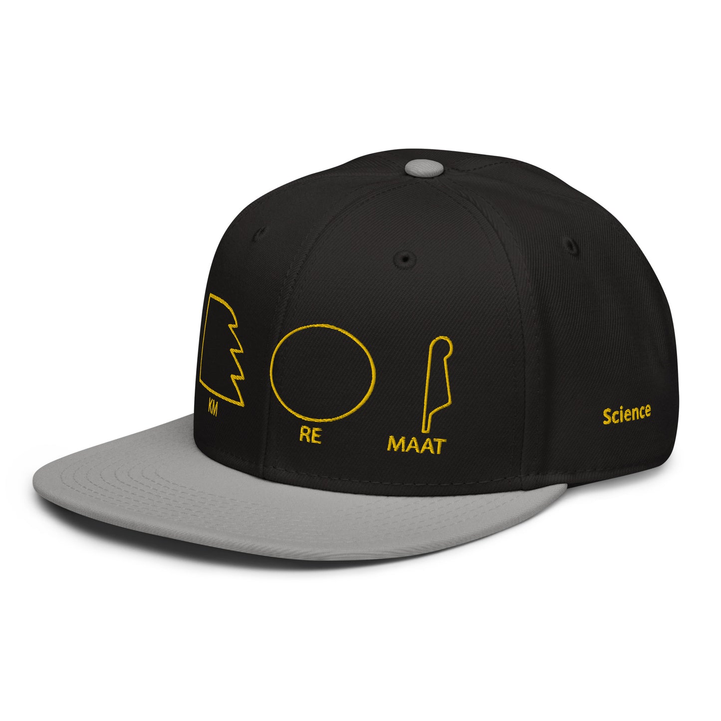 TAR Snapback Hat