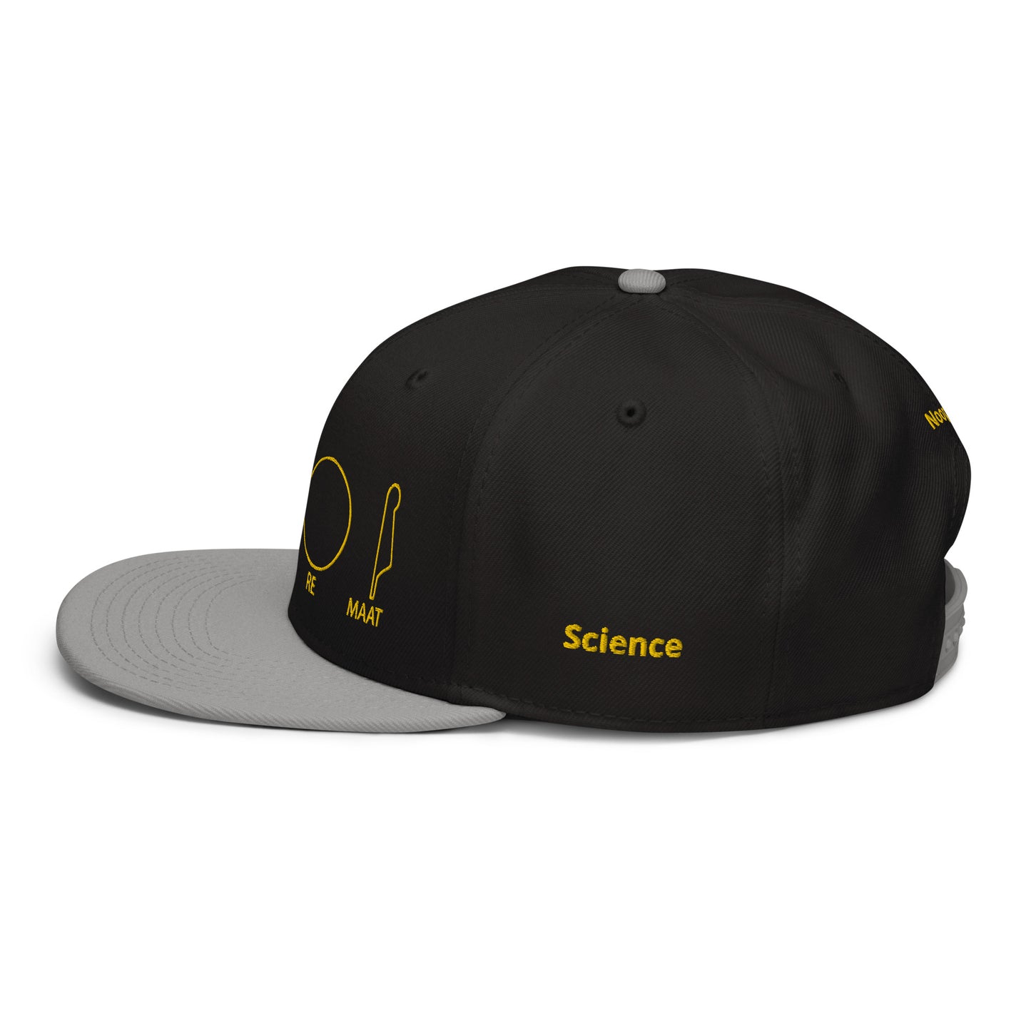 TAR Snapback Hat