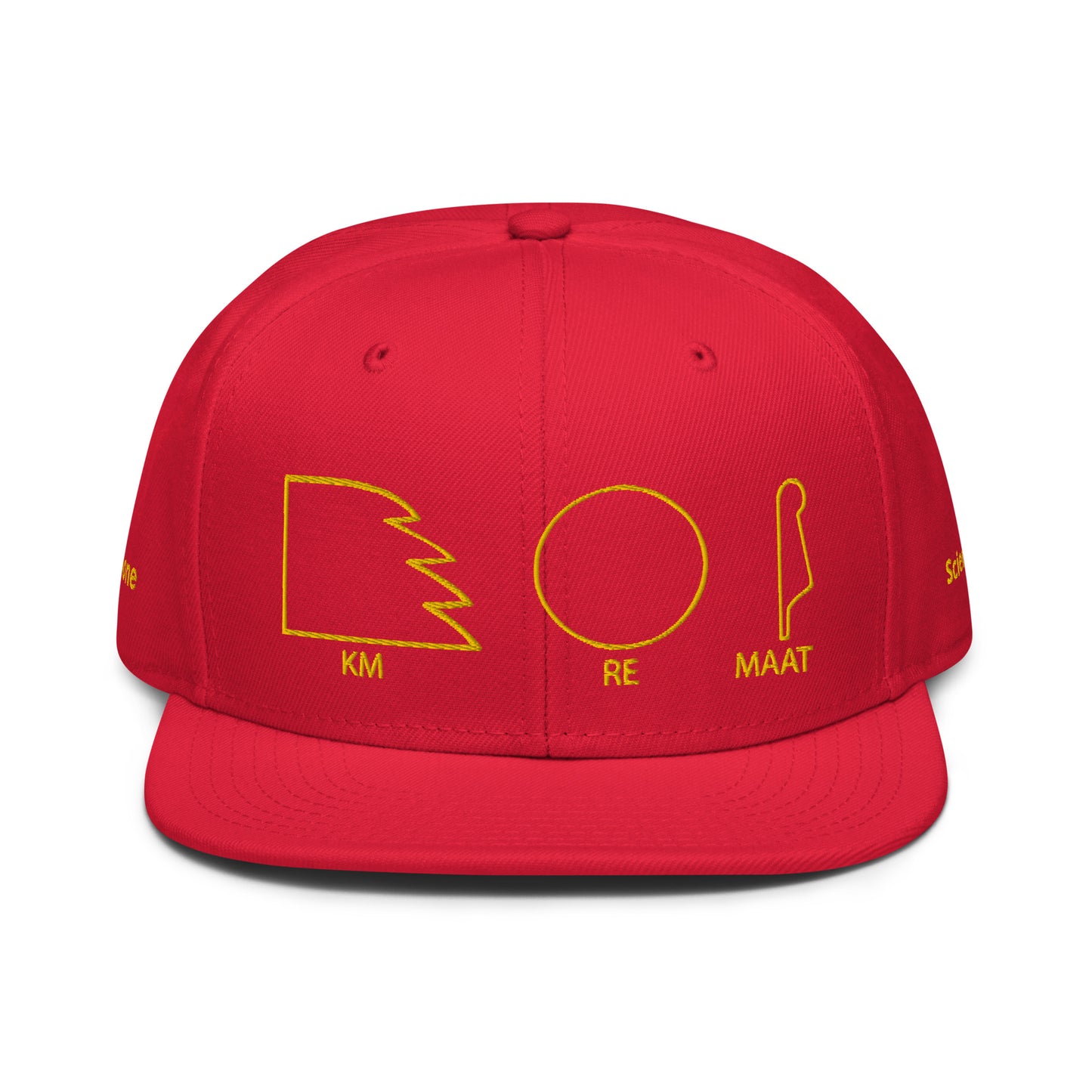 TAR Snapback Hat