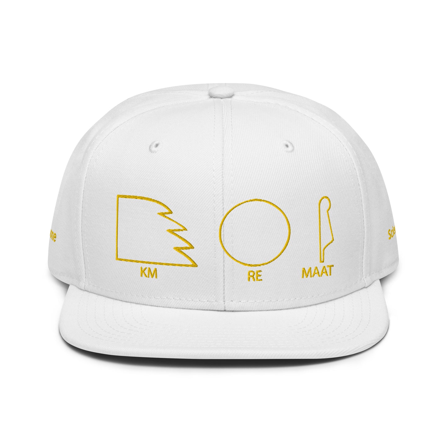 TAR Snapback Hat