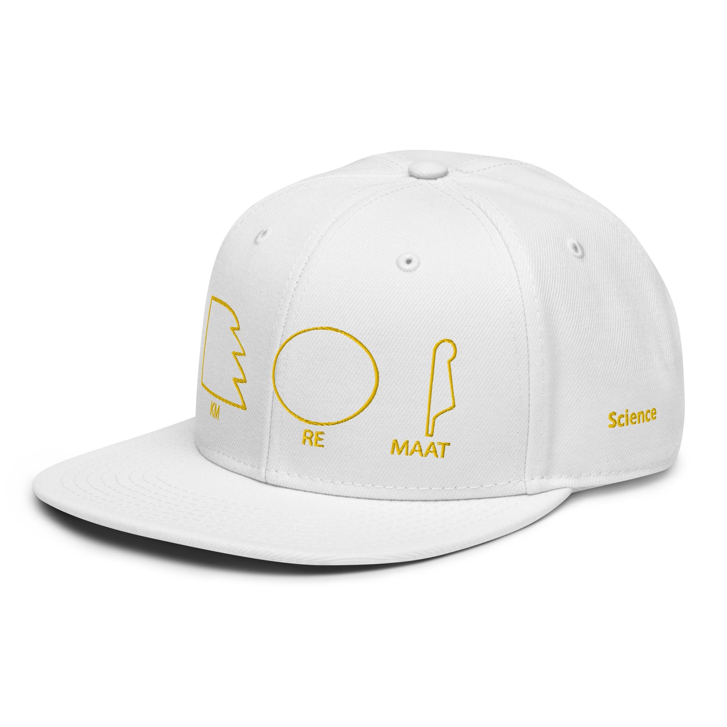 TAR Snapback Hat