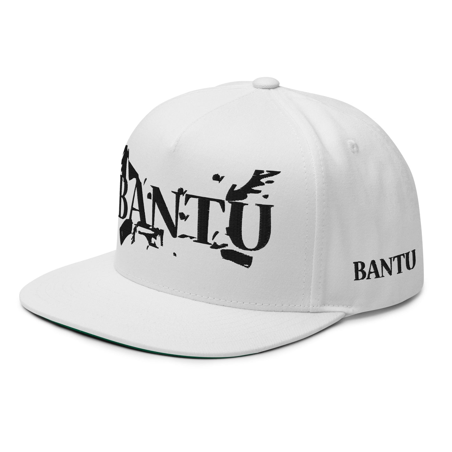 BANTU Flat Bill Cap