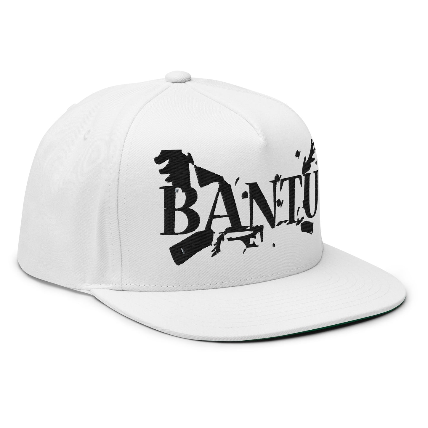 BANTU Flat Bill Cap