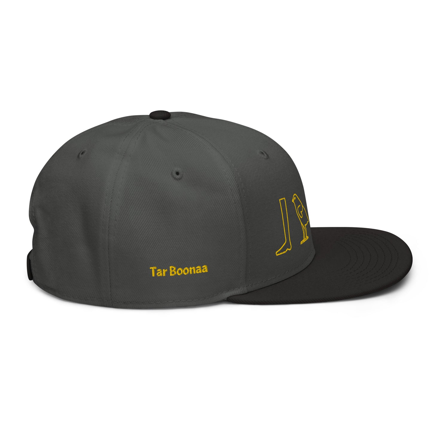 TAR BOONAA Snapback Hat
