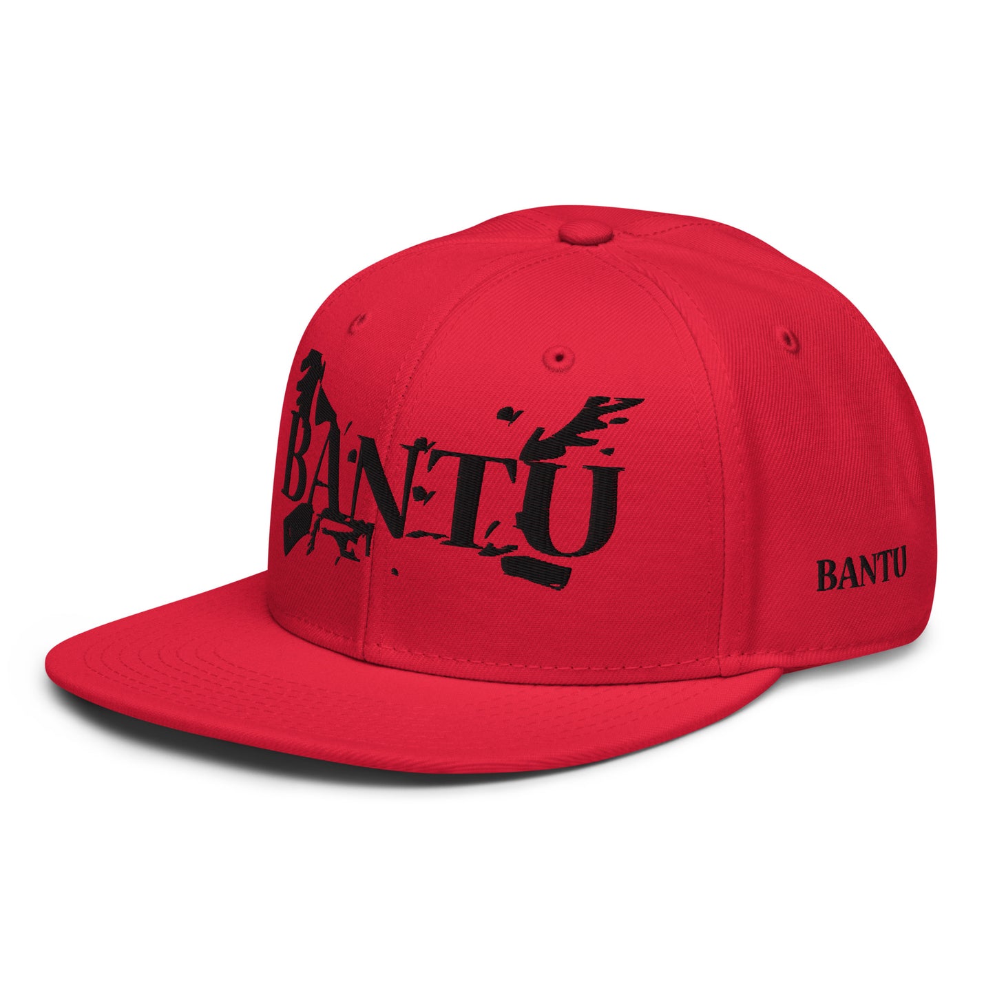 BANTU TU Snapback Hat